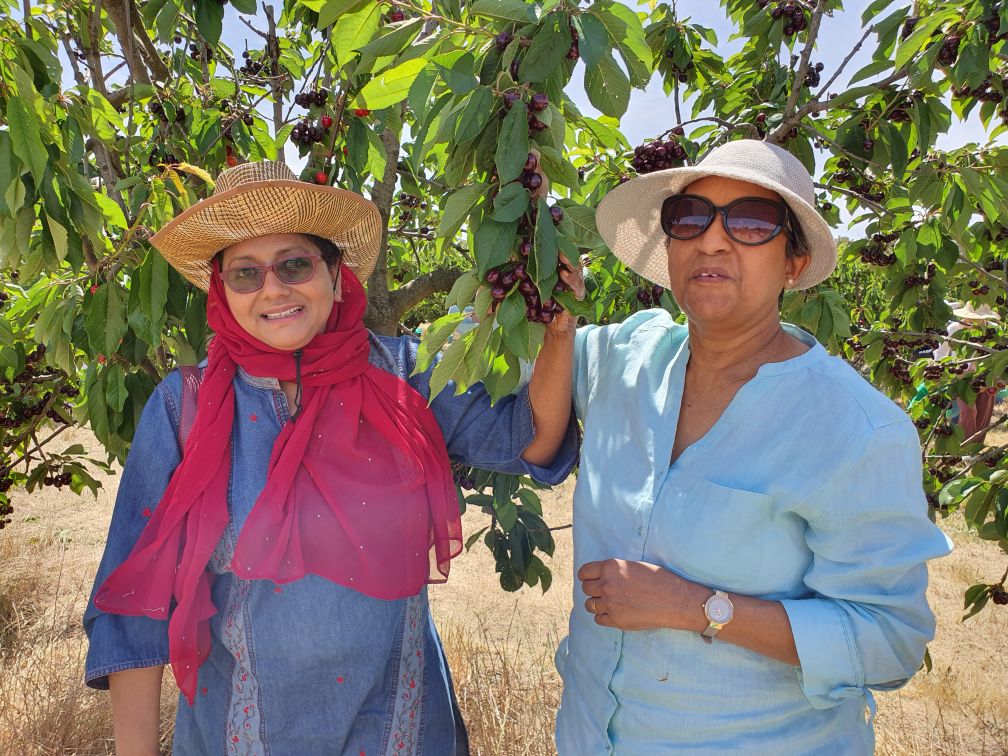 Cherry Festival 2019